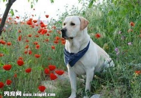��ô����������ë����Щ������ë��������ע��ʲô��