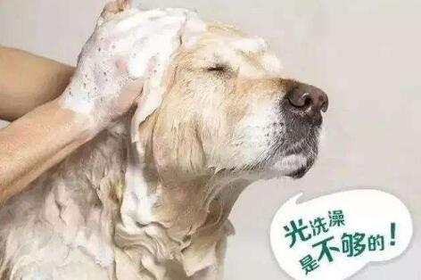 QQ��ͼ20200725172000.jpg