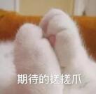 QQ��ͼ20200812183541.jpg