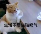 QQ��ͼ20200812183733.jpg