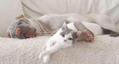 QQ��ͼ20200820181554.jpg