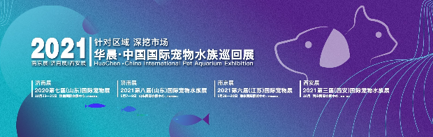 QQ��ͼ20200902104734.png