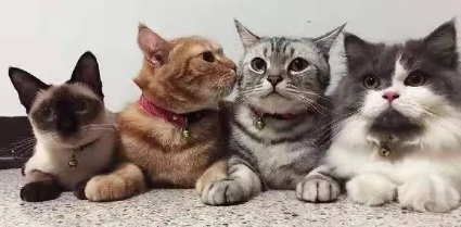 QQ��ͼ20200903185440.png