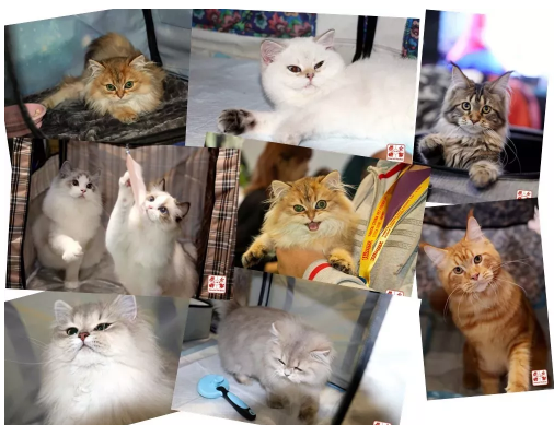 QQ��ͼ20200904121249.png