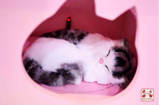 QQ��ͼ20200904121324.png