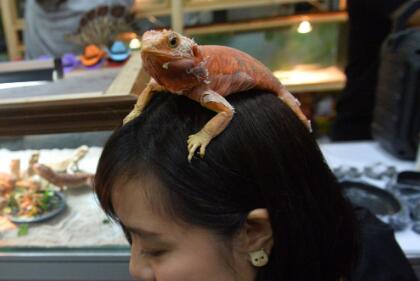 QQ��ͼ20200905182414.jpg