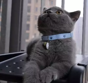 QQ��ͼ20200910194716.png