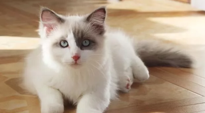 QQ��ͼ20200915153931.png