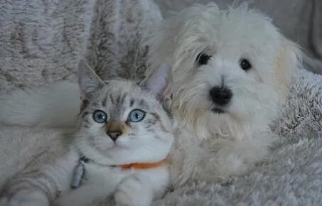 QQ��ͼ20200921163719.jpg