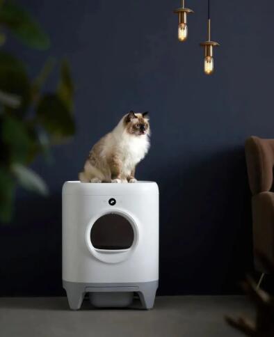 QQ��ͼ20200921163809.jpg