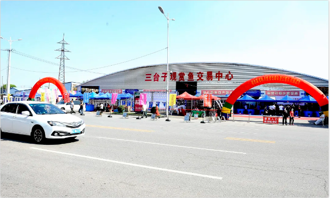 QQ��ͼ20200929095907.png