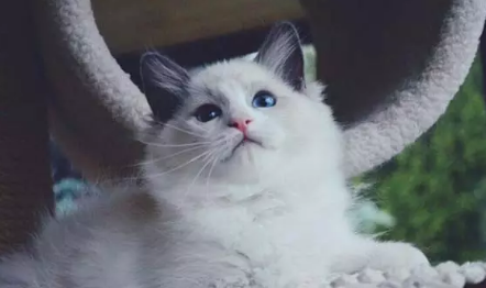 QQ��ͼ20200930115724.png