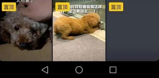 QQ��ͼ20201022195623.jpg
