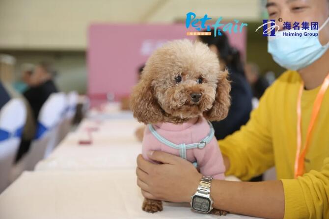 QQ��ͼ20201022195709.jpg