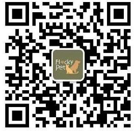 QQ��ͼ20201023165548.jpg