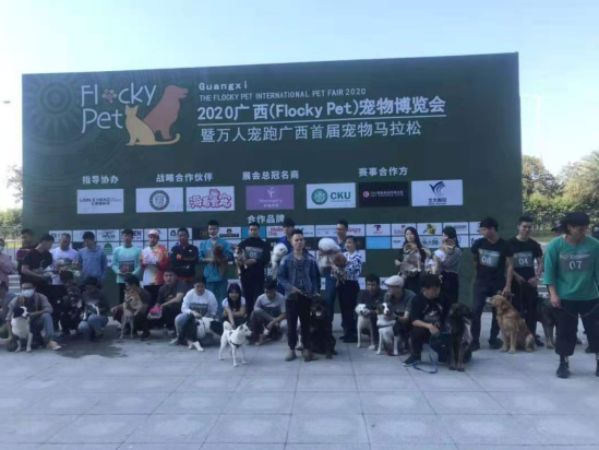QQ��ͼ20201112162959.png