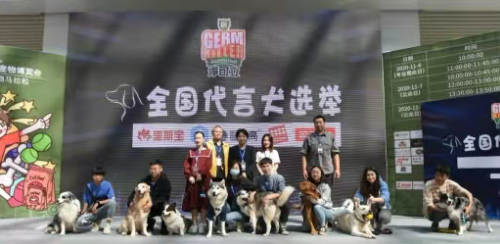 QQ��ͼ20201112163030.png