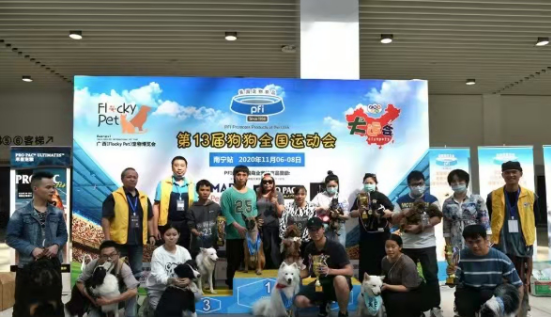 QQ��ͼ20201112163121.png