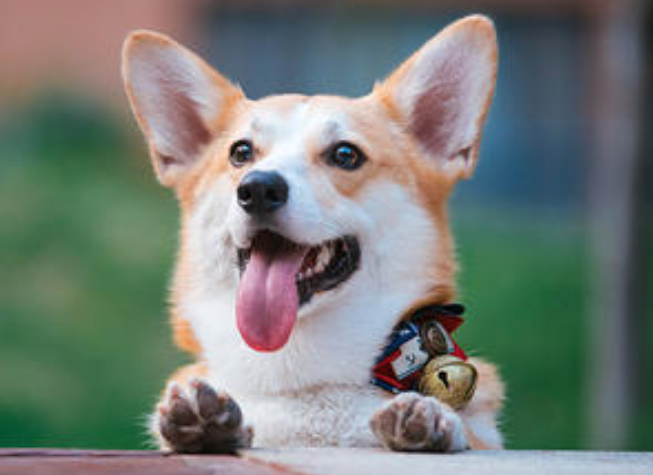 ΢�Ž�ͼ_20201205144621.png