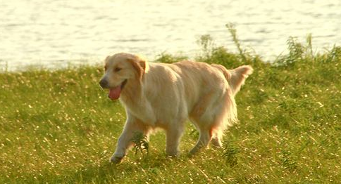 ΢�Ž�ͼ_20201207151037.png