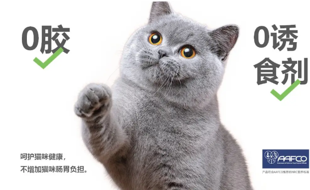 QQ��ͼ20201216174642.png