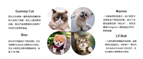QQ��ͼ20210322161232.png
