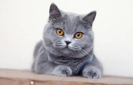 QQ��ͼ20210327170141.png