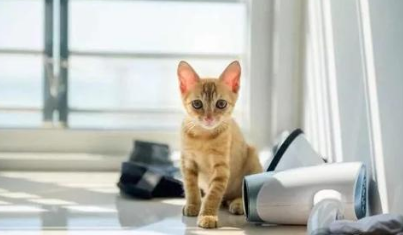 QQ��ͼ20210330192759.png