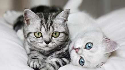 QQ��ͼ20210425183957.png