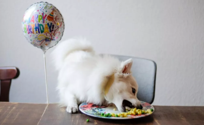 QQ��ͼ20210506181222.png
