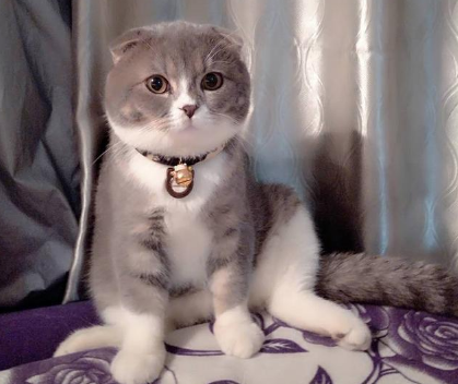 QQ��ͼ20210508164254.png