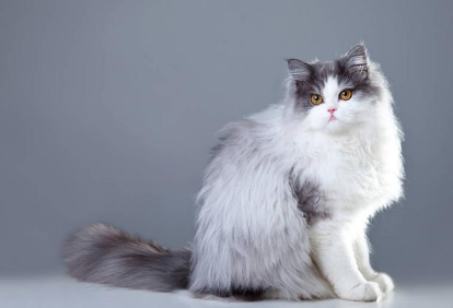 QQ��ͼ20210508164351.png