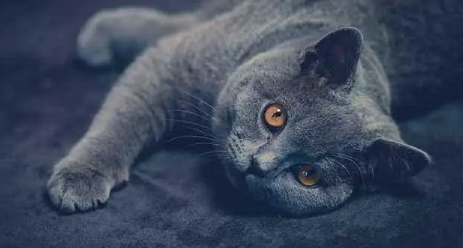 ΢�Ž�ͼ_20210518181459.png
