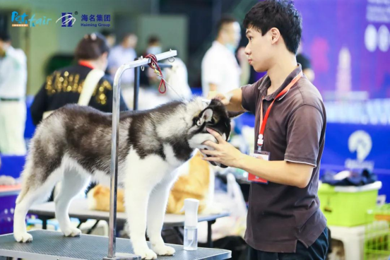 QQ��ͼ20210604171950.png