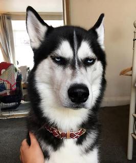 ��֪����Ȯ�������Ǯ�𣡿�����һ�ưѣ�
