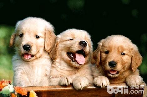 ��ëȮʲô����»ᵼ�±��Ӹ��ѣ�