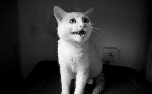 QQ��ͼ20210610173405.png