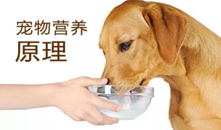 QQ��ͼ20210611182323.png
