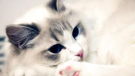 QQ��ͼ20210615094006.png