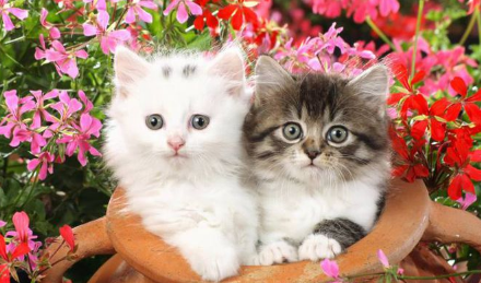QQ��ͼ20210615095548.png
