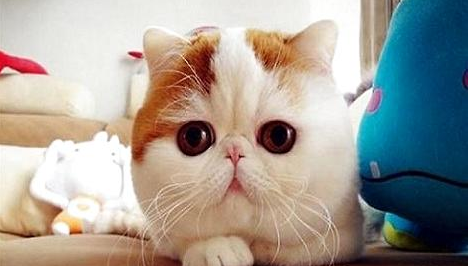QQ��ͼ20210617093437.png