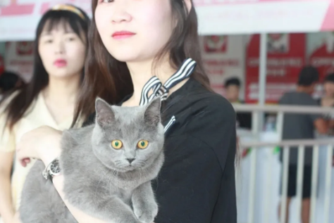 QQ��ͼ20210622155958.png