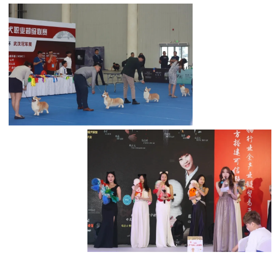 QQ��ͼ20210622160437.png
