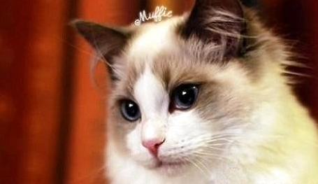QQ��ͼ20210623093424.png