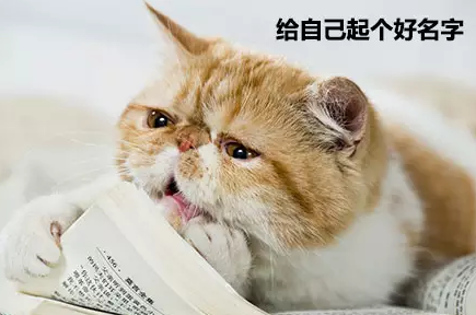 QQ��ͼ20210623094242.png