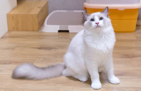 QQ��ͼ20210624092844.png