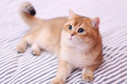 QQ��ͼ20210624093905.png