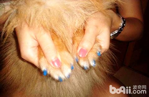 �л���԰Ȯ����ʺ�Ƚ϶���ʲôԭ���µģ�