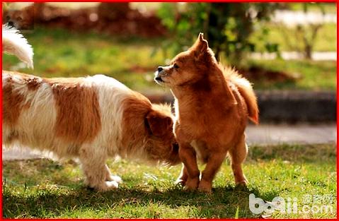 �л���԰Ȯ����ʺ�Ƚ϶���ʲôԭ���µģ�