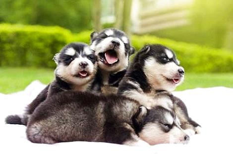 ����˹���ر�ҧ������ô�̣ܽ�
